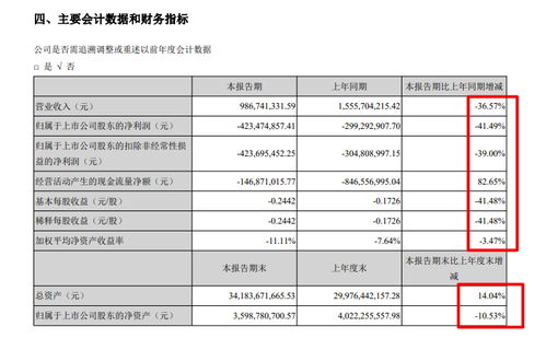 南國置業半年報分析 毛利率28.7%但仍虧損4.23億，物業管理業態承壓